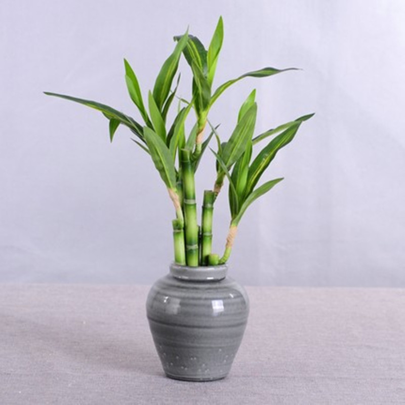 New 40cm Artificial Lucky Bamb - Desk Setup Green review and price