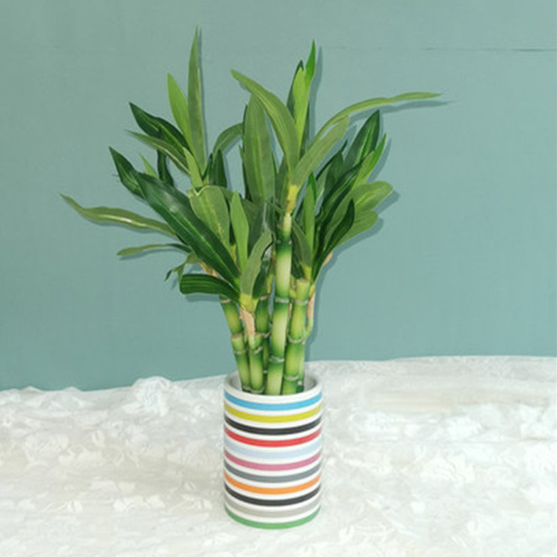 New 40cm Artificial Lucky Bamb - Desk Setup Green review and price